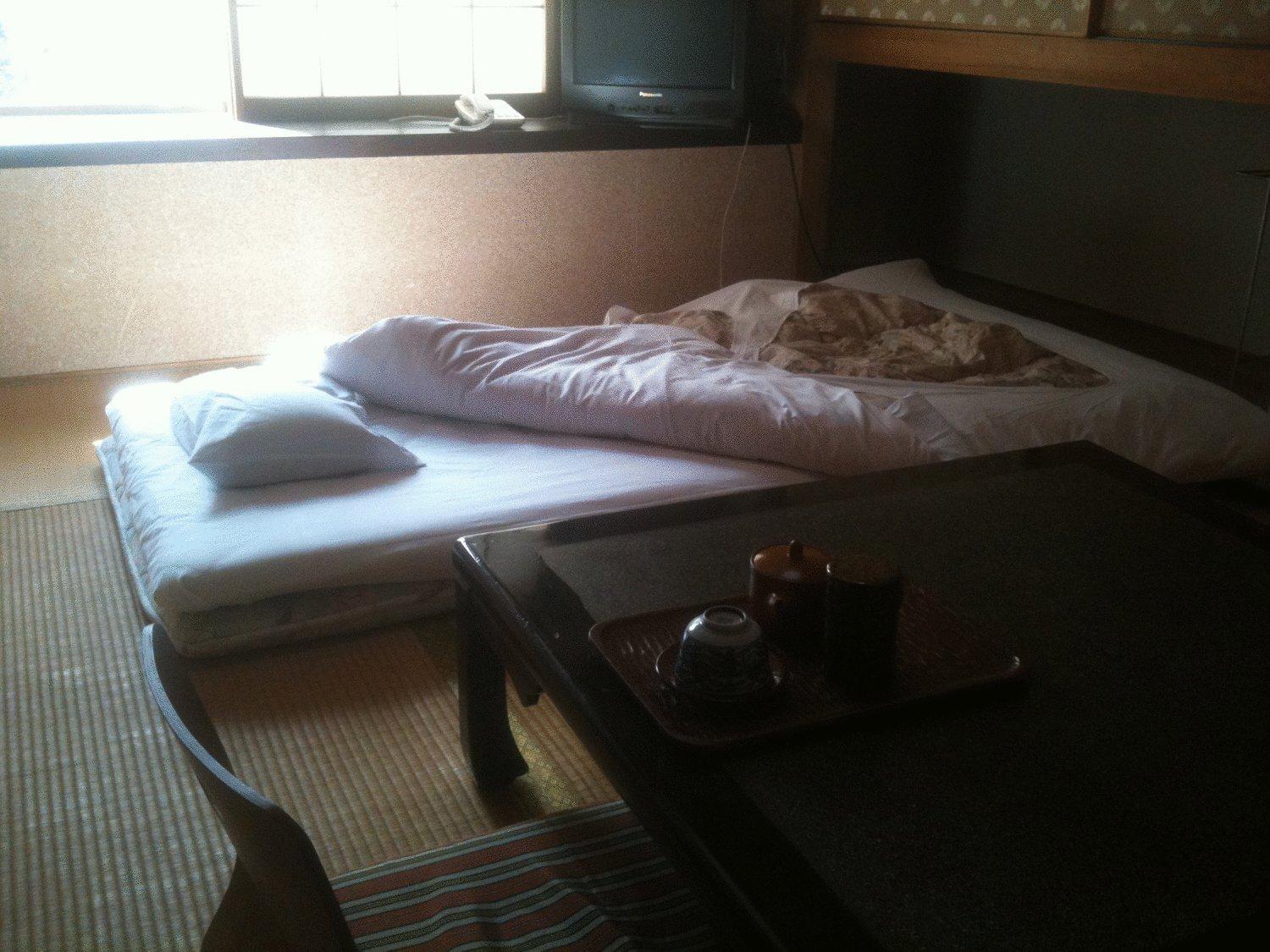 Kamesei Ryokan Chikuma Экстерьер фото